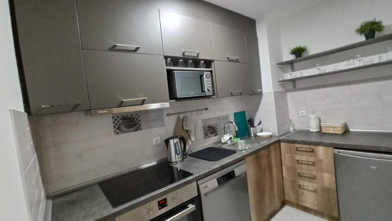 Luxury Apartments Parking In Garage Ниш Экстерьер фото